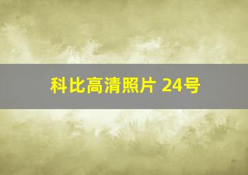 科比高清照片 24号